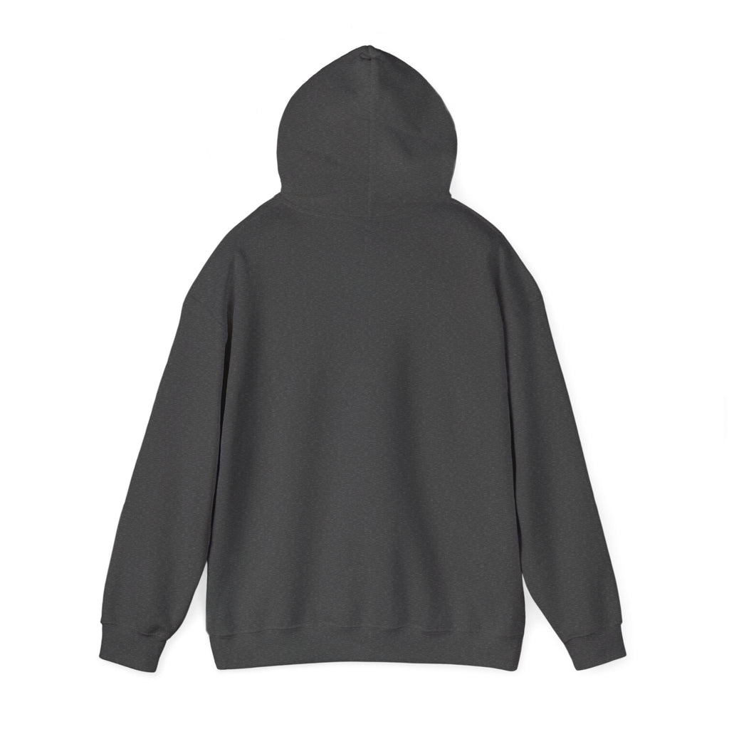 I'm Sorry for What I Said When Buffalo was Losing Hoodie
