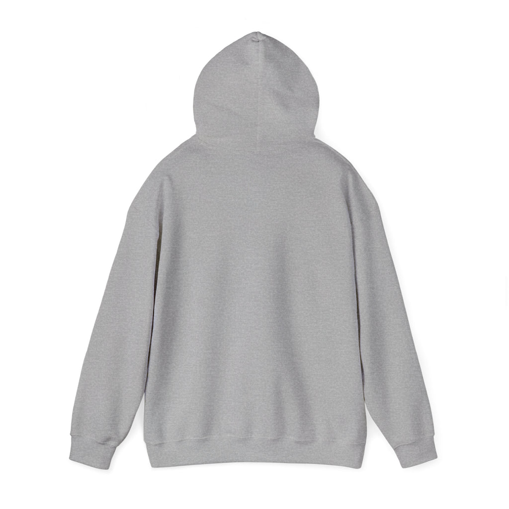 I'm Sorry for What I Said When Buffalo was Losing Hoodie