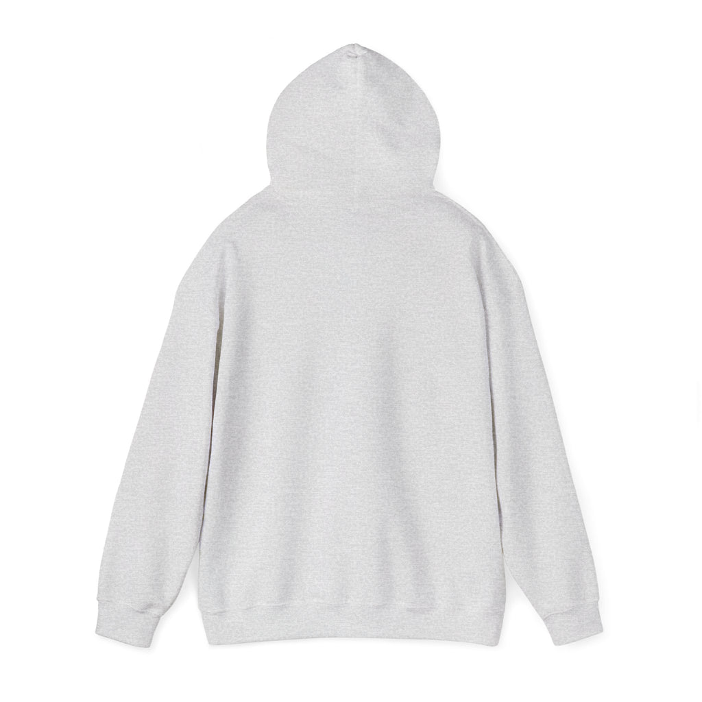 I'm Sorry for What I Said When Buffalo was Losing Hoodie