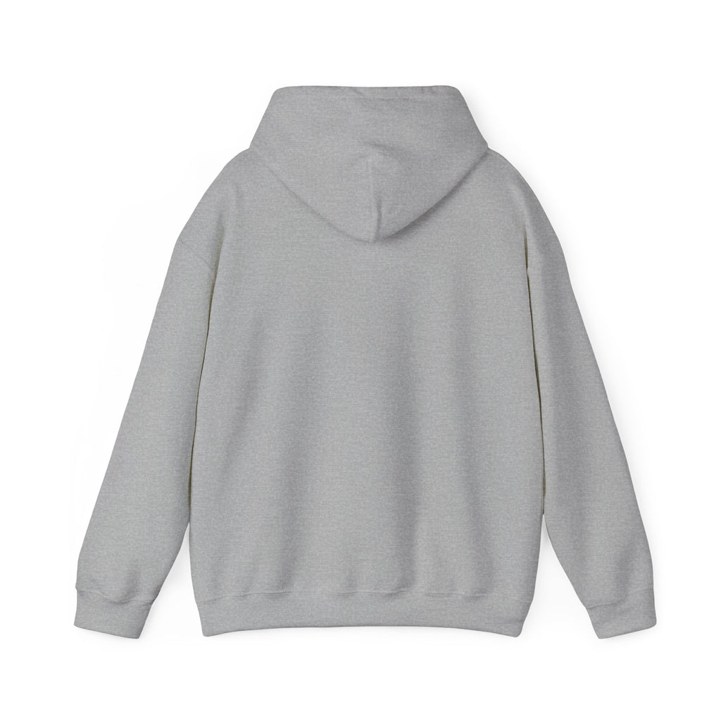 I'm Sorry for What I Said When Buffalo was Losing Hoodie