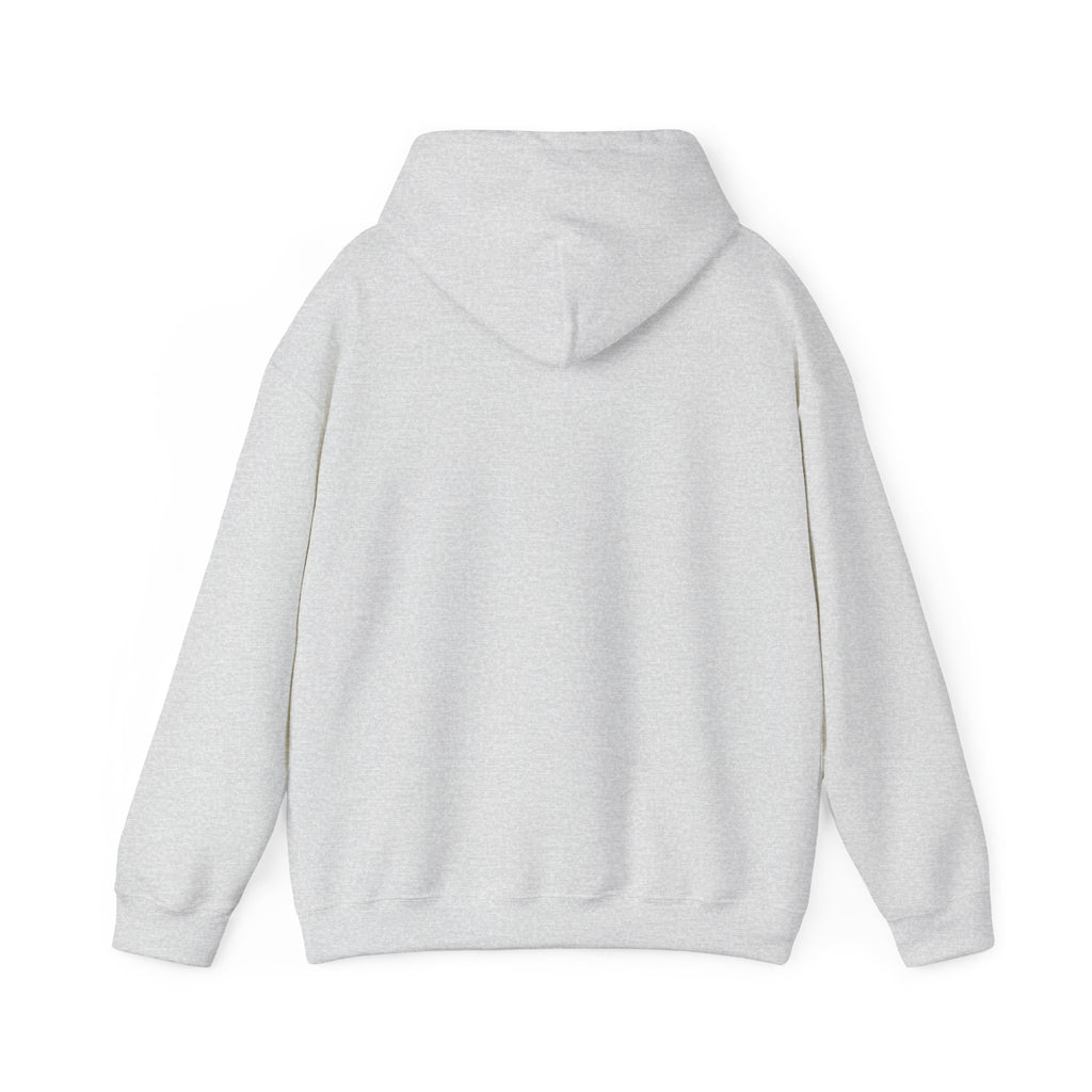 I'm Sorry for What I Said When Buffalo was Losing Hoodie