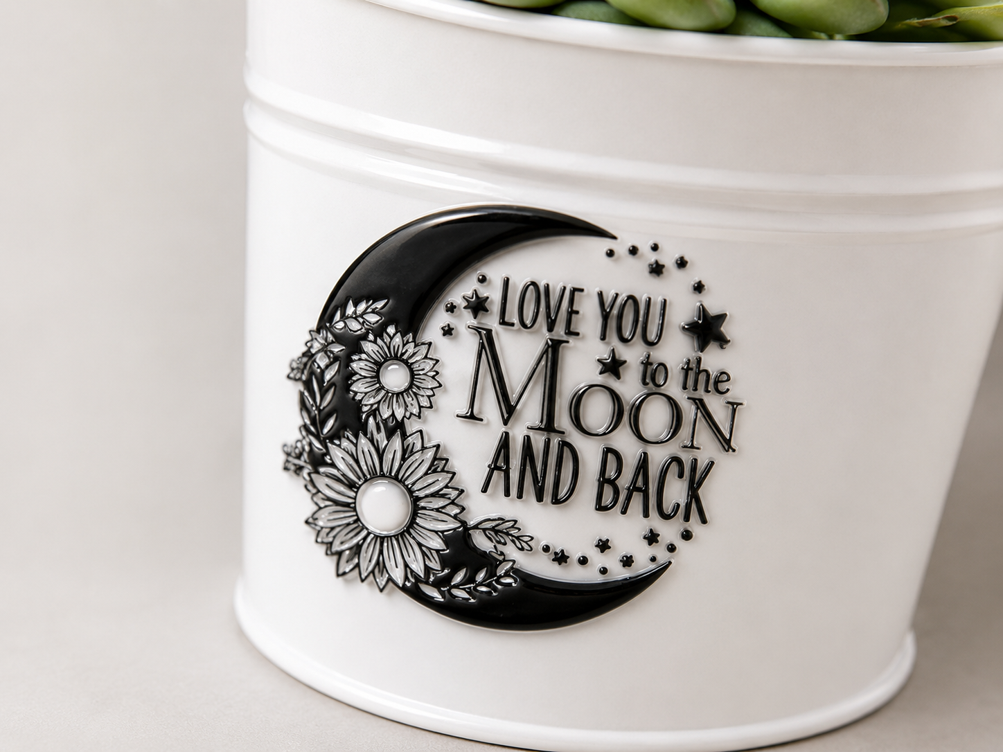 Love You to the Moon, You are Beautiful and Wild & Free Planters