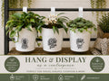 Magic, Wild & Grow Hanging Planter Keepsakes